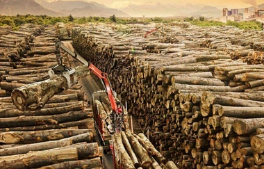 Požiadavky na otvorený sklad dreva