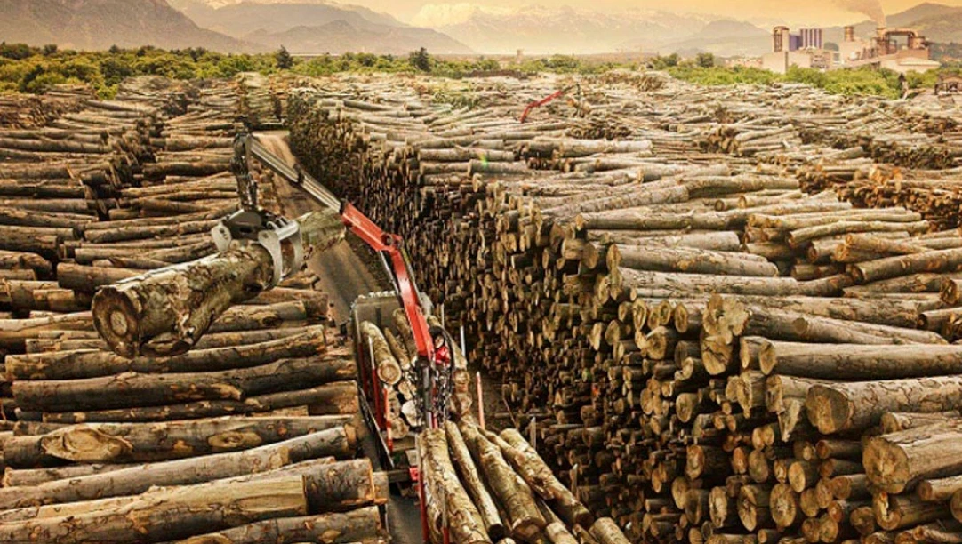 Požiadavky na otvorený sklad dreva