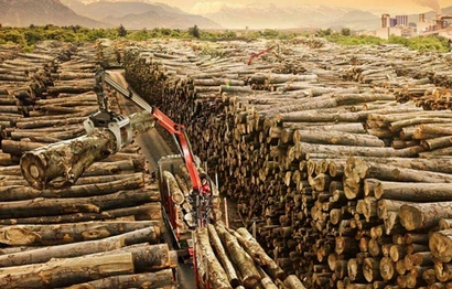 Požiadavky na otvorený sklad dreva