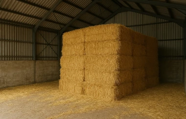 Požiadavky na sklady rastlín – stoh